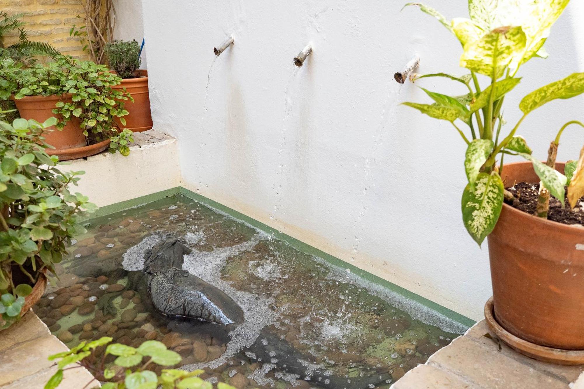 La Casa 1832 Boutique Bed & Breakfast Sanlúcar de Barrameda Exterior photo